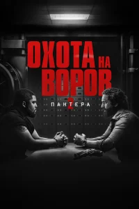 Охота на воров 2: Пантера  постер